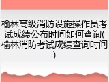榆林高级消防设施操作员考试成绩公布时间如何查询(榆林消防考试成绩查询时间)