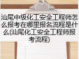 汕尾中级化工安全工程师怎么报考在哪里报名流程是什么(汕尾化工安全工程师报考流程)