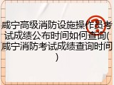 咸宁高级消防设施操作员考试成绩公布时间如何查询(咸宁消防考试成绩查询时间)