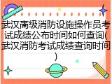 武汉高级消防设施操作员考试成绩公布时间如何查询(武汉消防考试成绩查询时间)