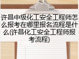 许昌中级化工安全工程师怎么报考在哪里报名流程是什么(许昌化工安全工程师报考流程)