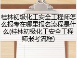 桂林初级化工安全工程师怎么报考在哪里报名流程是什么(桂林初级化工安全工程师报考流程)