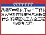 铜梁区中级化工安全工程师怎么报考在哪里报名流程是什么(铜梁区化工安全工程师报考流程)