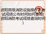 资阳高级消防设施操作员考试成绩公布时间如何查询(资阳消防考试成绩查询时间)