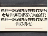 桂林一级消防设施操作员报考培训课程哪家机构的好(桂林一级消防设施操作员培训好机构)