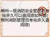 郴州一级消防安全管理员考完多久可以查成绩如何查(郴州消防管理员考完多久查成绩)