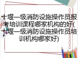 十堰一级消防设施操作员报考培训课程哪家机构的好(十堰一级消防设施操作员培训机构哪家好)