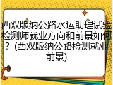 西双版纳公路水运助理试验检测师就业方向和前景如何？(西双版纳公路检测就业前景)