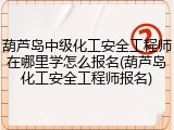 葫芦岛中级化工安全工程师在哪里学怎么报名(葫芦岛化工安全工程师报名)