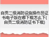 自贡二级消防设施操作员证书电子版在哪下载怎么下(自贡二级消防证书下载)