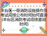 丰台区一级消防设施操作员考试成绩公布时间如何查询(丰台区消防考试成绩查询时间)