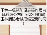 玉林一级消防设施操作员考试成绩公布时间如何查询(玉林消防考试成绩查询时间)