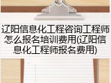 辽阳信息化工程咨询工程师怎么报名培训费用(辽阳信息化工程师报名费用)
