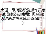 大理一级消防设施操作员考试成绩公布时间如何查询(大理消防考试成绩查询时间)