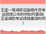 玉溪一级消防设施操作员考试成绩公布时间如何查询(玉溪消防考试成绩查询时间)