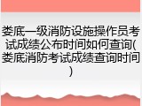娄底一级消防设施操作员考试成绩公布时间如何查询(娄底消防考试成绩查询时间)