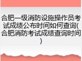 合肥一级消防设施操作员考试成绩公布时间如何查询(合肥消防考试成绩查询时间)