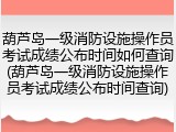 葫芦岛一级消防设施操作员考试成绩公布时间如何查询(葫芦岛一级消防设施操作员考试成绩公布时间查询)