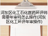 河东区化工石化医药环评师需要年审吗怎么操作(河东区化工环评年审操作)