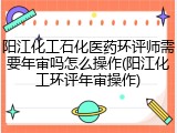 阳江化工石化医药环评师需要年审吗怎么操作(阳江化工环评年审操作)