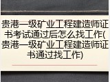 贵港一级矿业工程建造师证书考试通过后怎么找工作(贵港一级矿业工程建造师证书通过找工作)