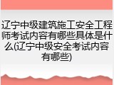 辽宁中级建筑施工安全工程师考试内容有哪些具体是什么(辽宁中级安全考试内容有哪些)