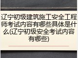 辽宁初级建筑施工安全工程师考试内容有哪些具体是什么(辽宁初级安全考试内容有哪些)