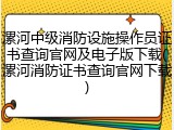 漯河中级消防设施操作员证书查询官网及电子版下载(漯河消防证书查询官网下载)