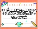 咸阳岩土工程咨询工程师有补贴吗怎么领取呢(咸阳补贴领取方式)