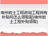 宿州岩土工程咨询工程师有补贴吗怎么领取呢(宿州岩土工程补贴领取)