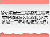 哈尔滨岩土工程咨询工程师有补贴吗怎么领取呢(哈尔滨岩土工程补贴领取流程)