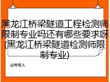 黑龙江桥梁隧道工程检测师限制专业吗还有哪些要求呀(黑龙江桥梁隧道检测师限制专业)