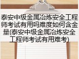 泰安中级金属冶炼安全工程师考试有用吗难度如何含金量(泰安中级金属冶炼安全工程师考试有用难考)