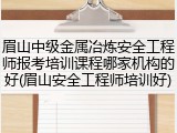 眉山中级金属冶炼安全工程师报考培训课程哪家机构的好(眉山安全工程师培训好)