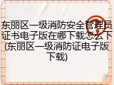 东丽区一级消防安全管理员证书电子版在哪下载怎么下(东丽区一级消防证电子版下载)