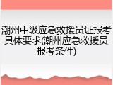 潮州中级应急救援员证报考具体要求(潮州应急救援员报考条件)