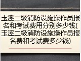 玉溪二级消防设施操作员报名和考试费用分别多少钱(玉溪二级消防设施操作员报名费和考试费多少钱)