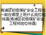 青浦区初级煤矿安全工程师一般在哪里上班什么岗位和待遇(青浦区初级煤矿安全工程师岗位待遇)