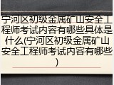 宁河区初级金属矿山安全工程师考试内容有哪些具体是什么(宁河区初级金属矿山安全工程师考试内容有哪些)