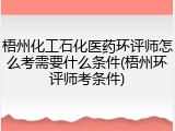 梧州化工石化医药环评师怎么考需要什么条件(梧州环评师考条件)