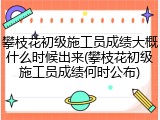 攀枝花初级施工员成绩大概什么时候出来(攀枝花初级施工员成绩何时公布)