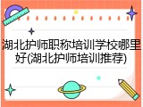 湖北护师职称培训学校哪里好(湖北护师培训推荐)