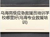 乌海高级应急救援员培训学校哪里好(乌海专业救援培训)