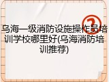乌海一级消防设施操作员培训学校哪里好(乌海消防培训推荐)