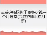 武威护师职称工资多少钱一个月通常(武威护师职称月薪)