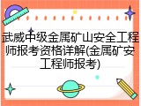 武威中级金属矿山安全工程师报考资格详解(金属矿安工程师报考)