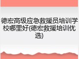德宏高级应急救援员培训学校哪里好(德宏救援培训优选)