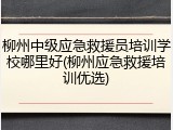 柳州中级应急救援员培训学校哪里好(柳州应急救援培训优选)