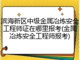 滨海新区中级金属冶炼安全工程师证在哪里报考(金属冶炼安全工程师报考)