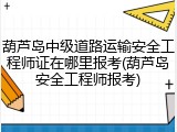 葫芦岛中级道路运输安全工程师证在哪里报考(葫芦岛安全工程师报考)